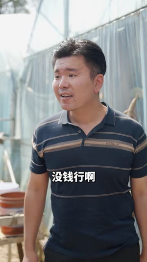 三亩瓜棚,开启我的王炸人生(32 集) 三亩瓜棚,开启我的王炸人生(32 集)短剧太好看