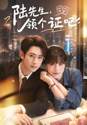 陆先生,领个证吧(46 集) 陆先生,领个证吧(46 集)短剧追到爽