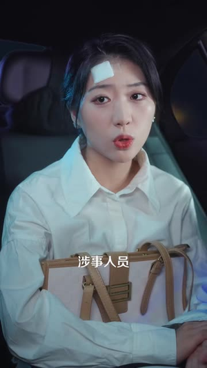 实习生勇闯新闻部(60 集) 实习生勇闯新闻部(60 集)短剧上头又好看