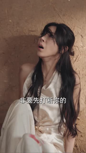 血泪二十载，慈母执刃（61 集）全集免费观看
