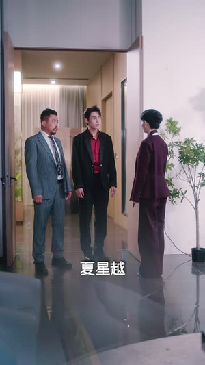 撕开全员骗局后她一路登顶（41 集）热门短剧追到爽