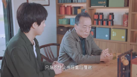 我在霍山当茶倌（22 集）热门短剧排行榜