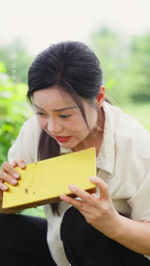 中年离婚，烂地助我赚翻天（56 集）精彩短剧推荐