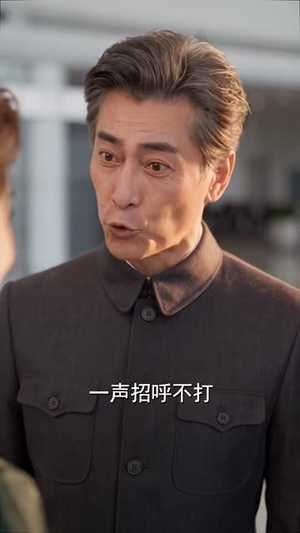 旧爱成灰，恰逢君来（163集）红果免费短剧