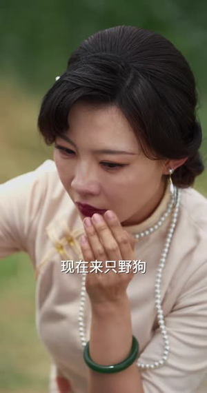 哈儿外传(98 集) 哈儿外传(98 集)好看的短剧分享