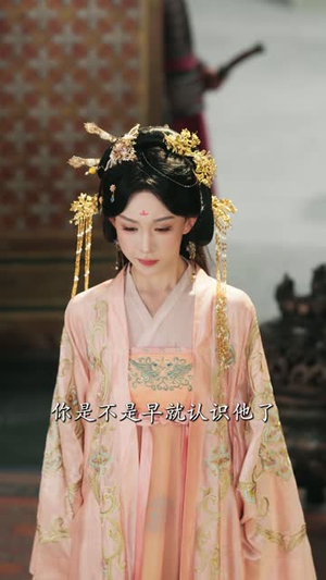 藏锋敛迹二十八载，只为今朝（63 集）好看的短剧分享